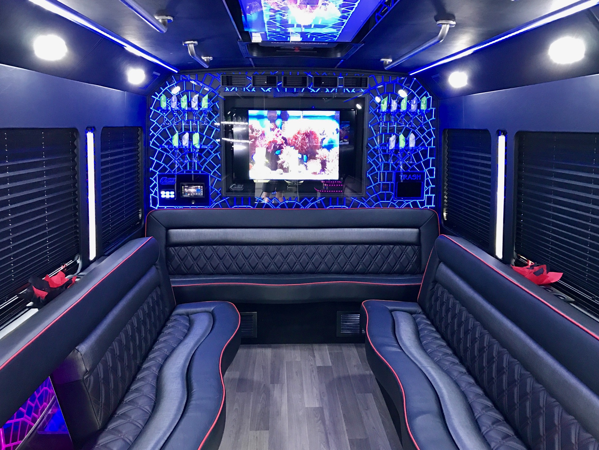 Mad Sex Party Bus – Telegraph